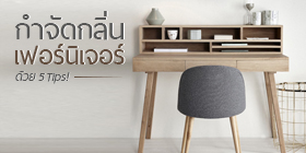 กำจัดกลิ่นเฟอร์นิเจอร์01s