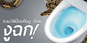 เช็คก่อนนั่ง! วิธีการป้องกันงูในชักโครกและไล่ไปไกลบ้าน