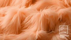 สี Peach Fuzz