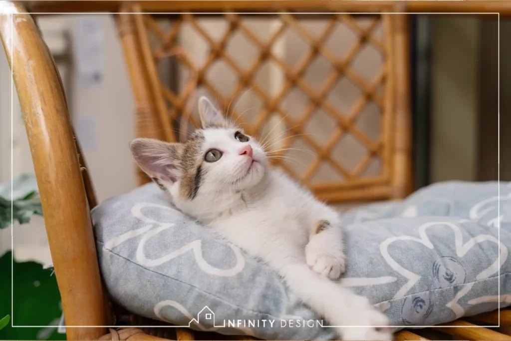 Pet Friendly Design 2025 Furniture_11zon