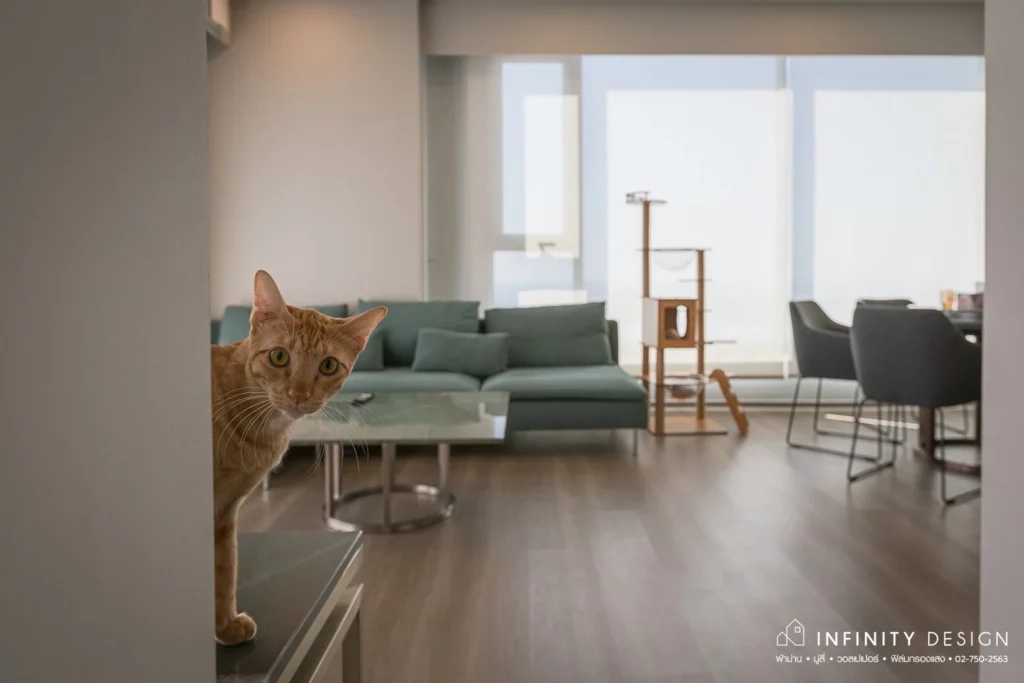 ม่านม้วน Whizdom The Forestias Petopia คอนโด Pet Friendly