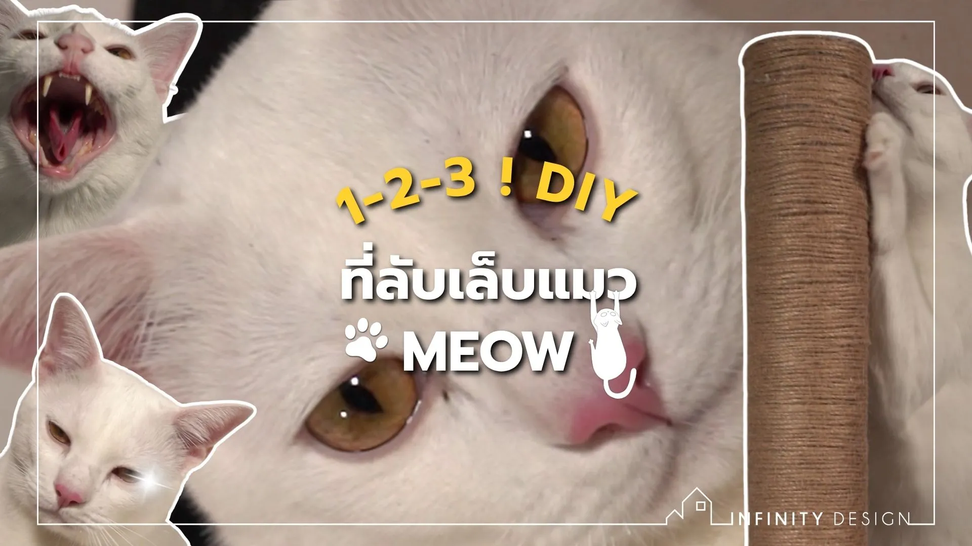 DIY ที่ขูดเล็บแมวสุดฟิน ที่เห็นแล้วต้องร้องเหมียว!